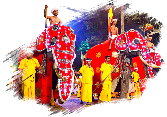 About Sri Dalada Perahera